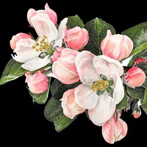 Meet your Posher, Christa